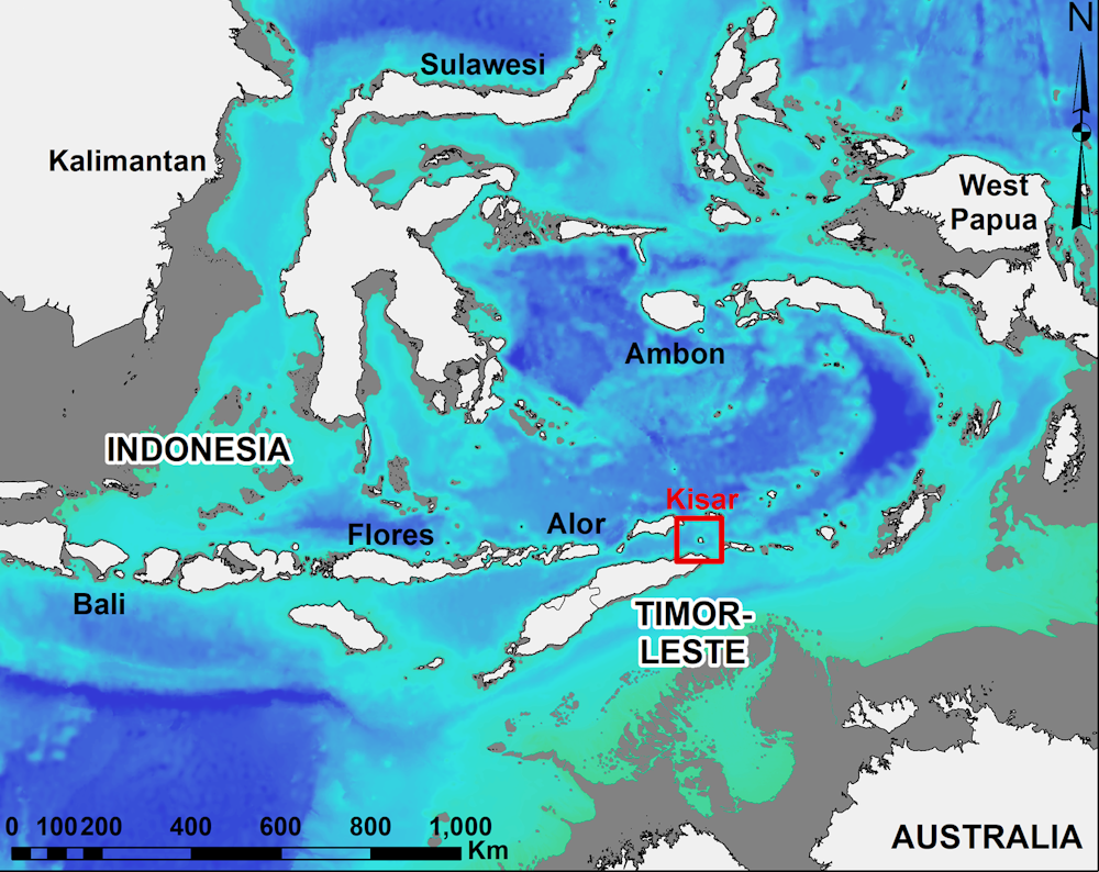 Bagaimana Perubahan Iklim Pengaruhi Pola Perburuan Manusia Prasejarah Di Indonesia