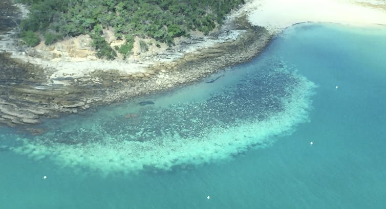 Australian government was 'blindsided' by UN recommendation to list Great Barrier Reef as in-danger. But it's no great surprise