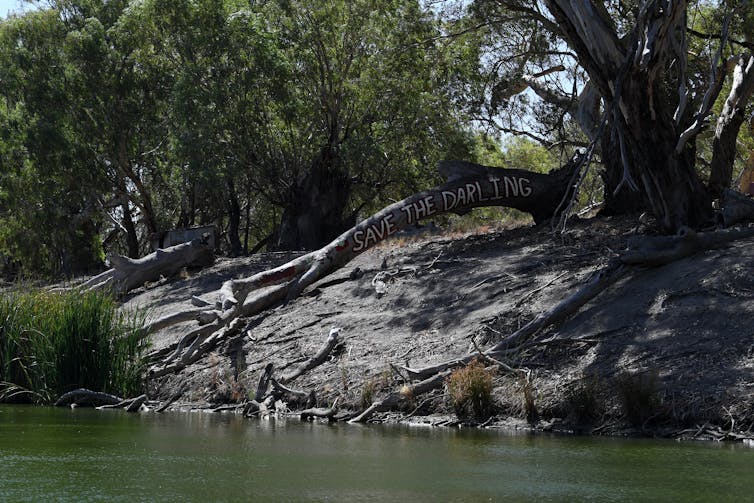 While towns run dry, cotton extracts 5 Sydney Harbours' worth of Murray Darling water a year. It's time to reset the balance