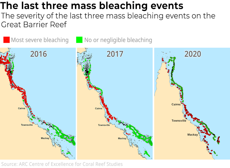 We just spent two weeks surveying the Great Barrier Reef. What we saw was an utter tragedy