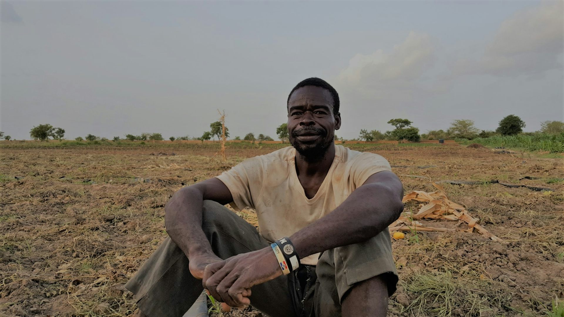 Why Ghana’s Smallholders Aren’t Excited by the Latest ‘Green Revolution’