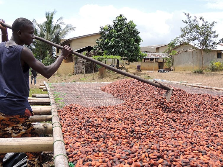 Turning to Easter eggs to get through these dark times? Here's the bitter truth about chocolate