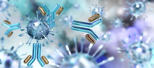 Coronavirus How We Re Creating A Rapid Test That Could Help Halt