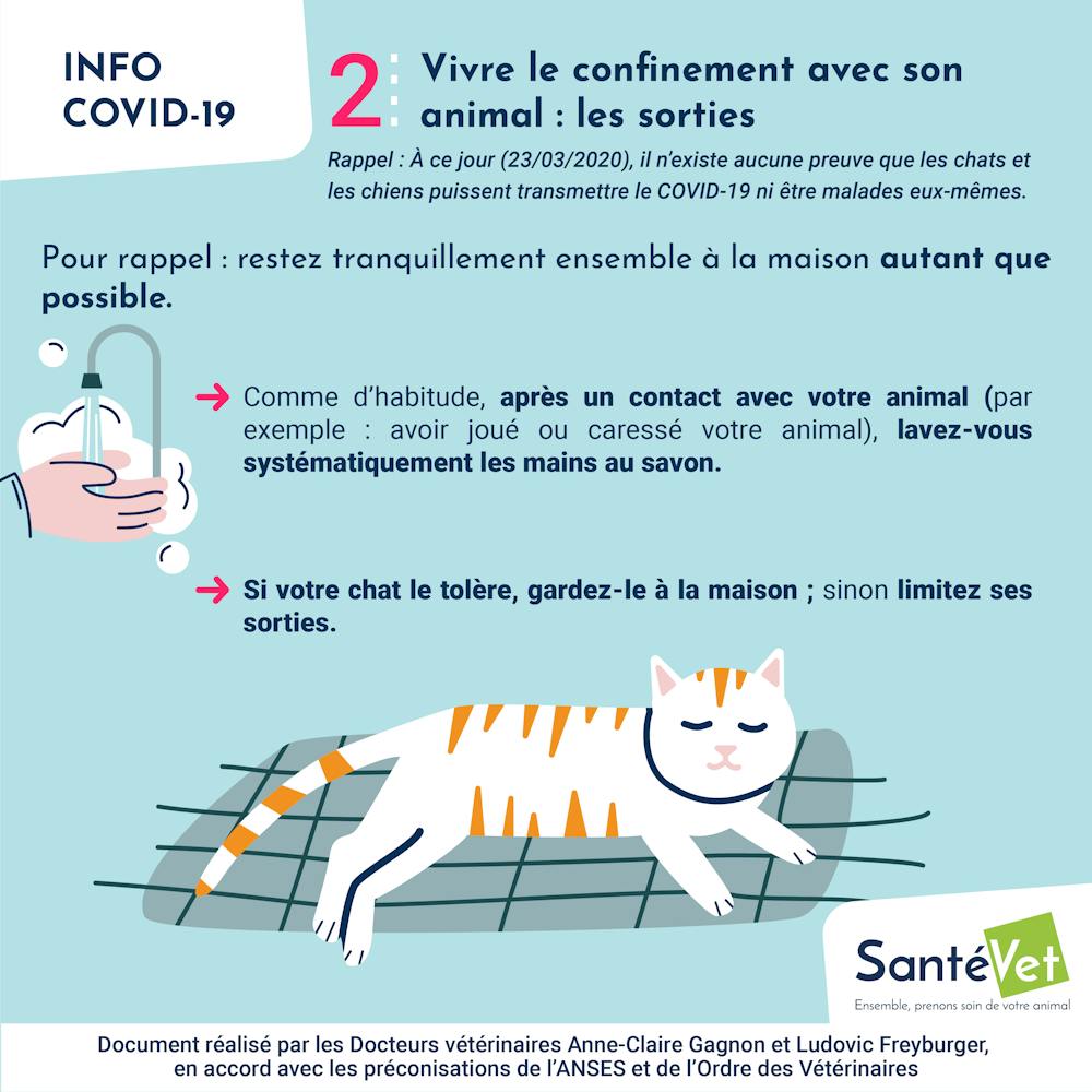 Covid 19 Et Si Mon Animal Etait Contamine Covid 19 Et Si Mon Animal Etait Contamine