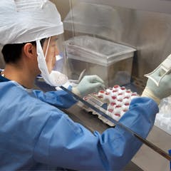 research on genetic engineering