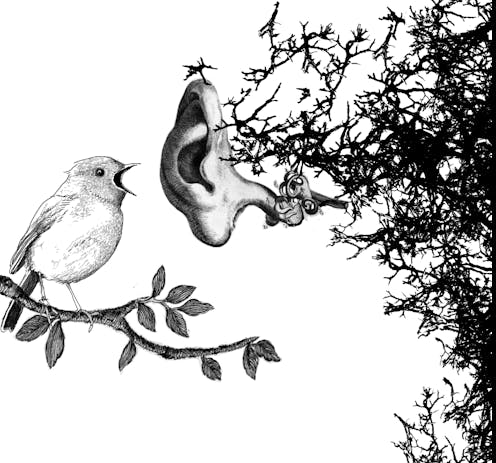 Reflexiones Ecofeministas Ante La Pandemia De Covid 19