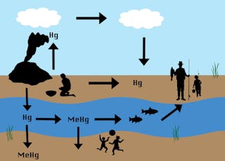 Gold rush, mercury legacy: Small-scale mining for gold has