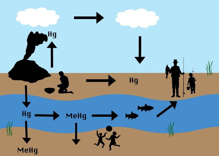 Gold rush, mercury legacy: Small-scale mining for gold has produced long-lasting toxic pollution, from 1860s California to modern Peru