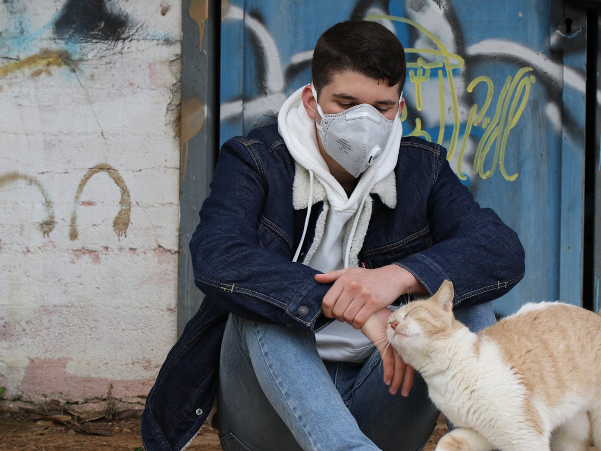 Covid 19 Et Si Mon Animal Etait Contamine Covid 19 Et Si Mon Animal Etait Contamine