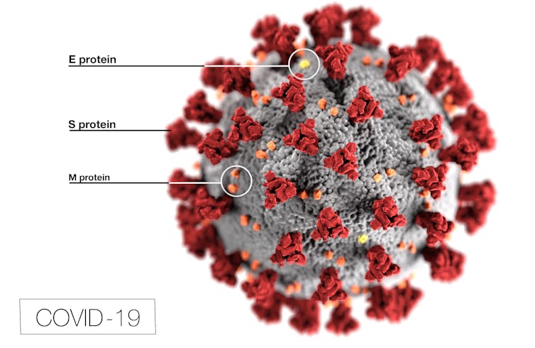 A coronavirus vaccine that wouldn't require a shot