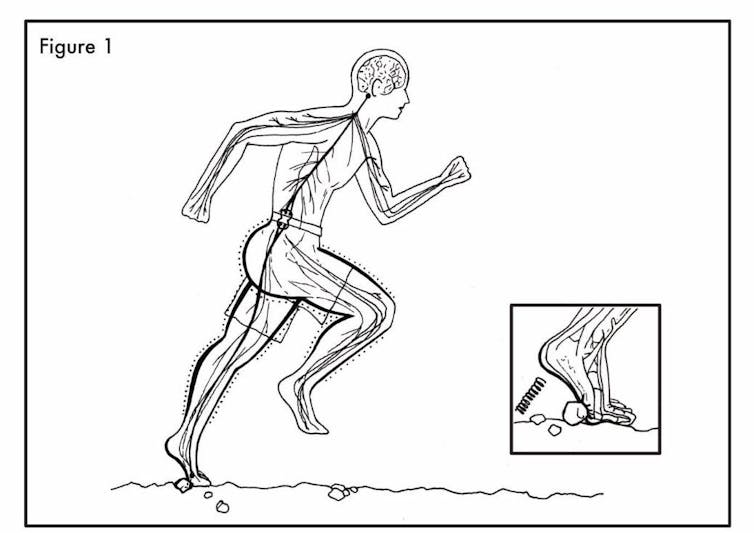 Proper barefoot running form. | Peter Francis | Author provided