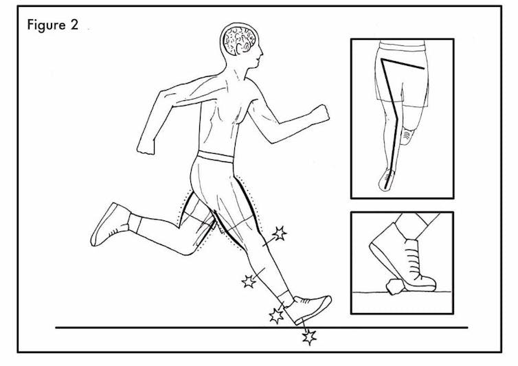 Footwear leads to more blunt running mechanisms. | Peter Francis | Author provided