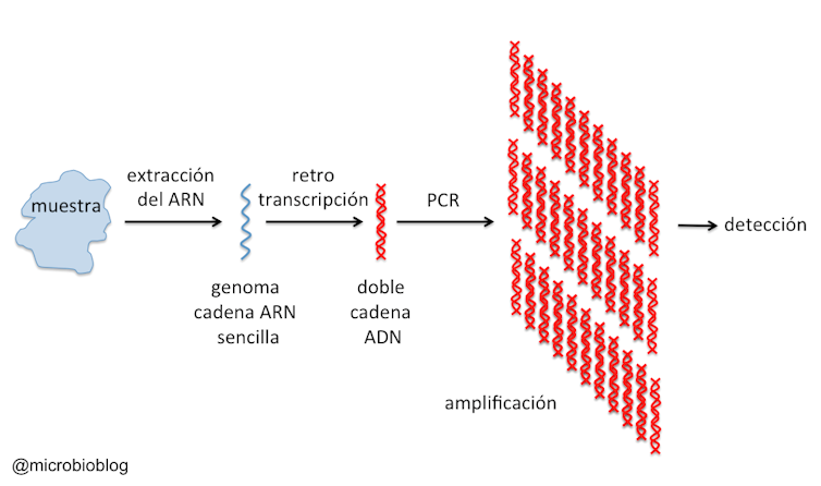 test coronavirus