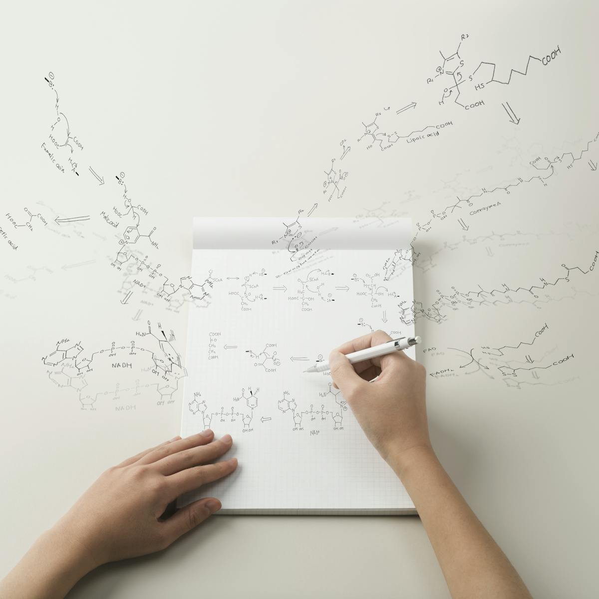 Follow Me Here Page 3 I Am The World Crier This Is My