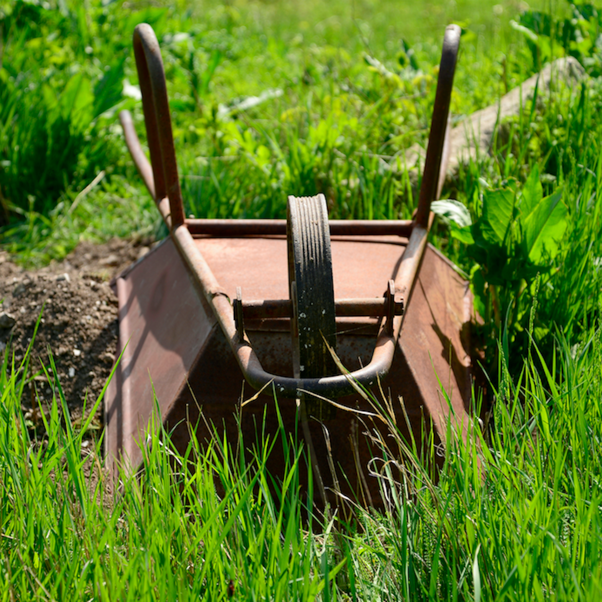 Coronavirus The Economic Recovery Won T Only Be U Shaped It Ll Look Like A Wheelbarrow