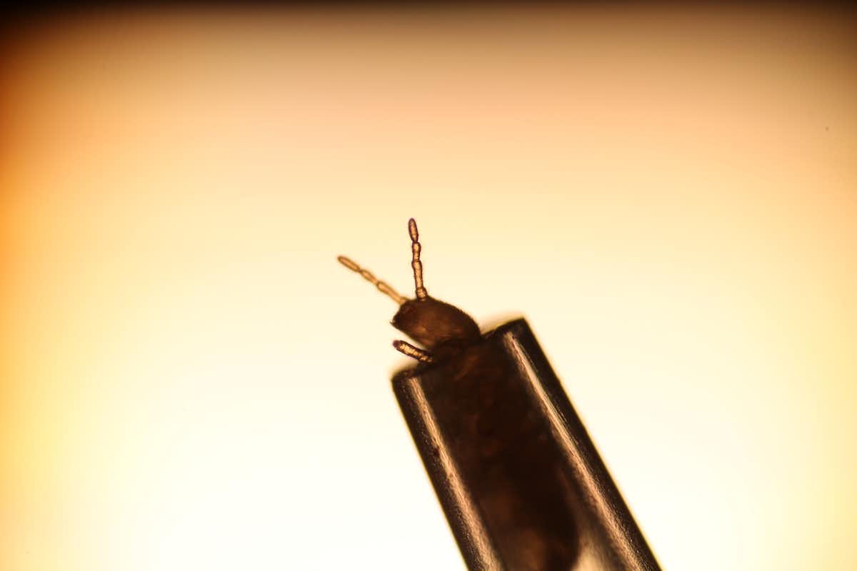 Here’s why soil smells so good after it rains