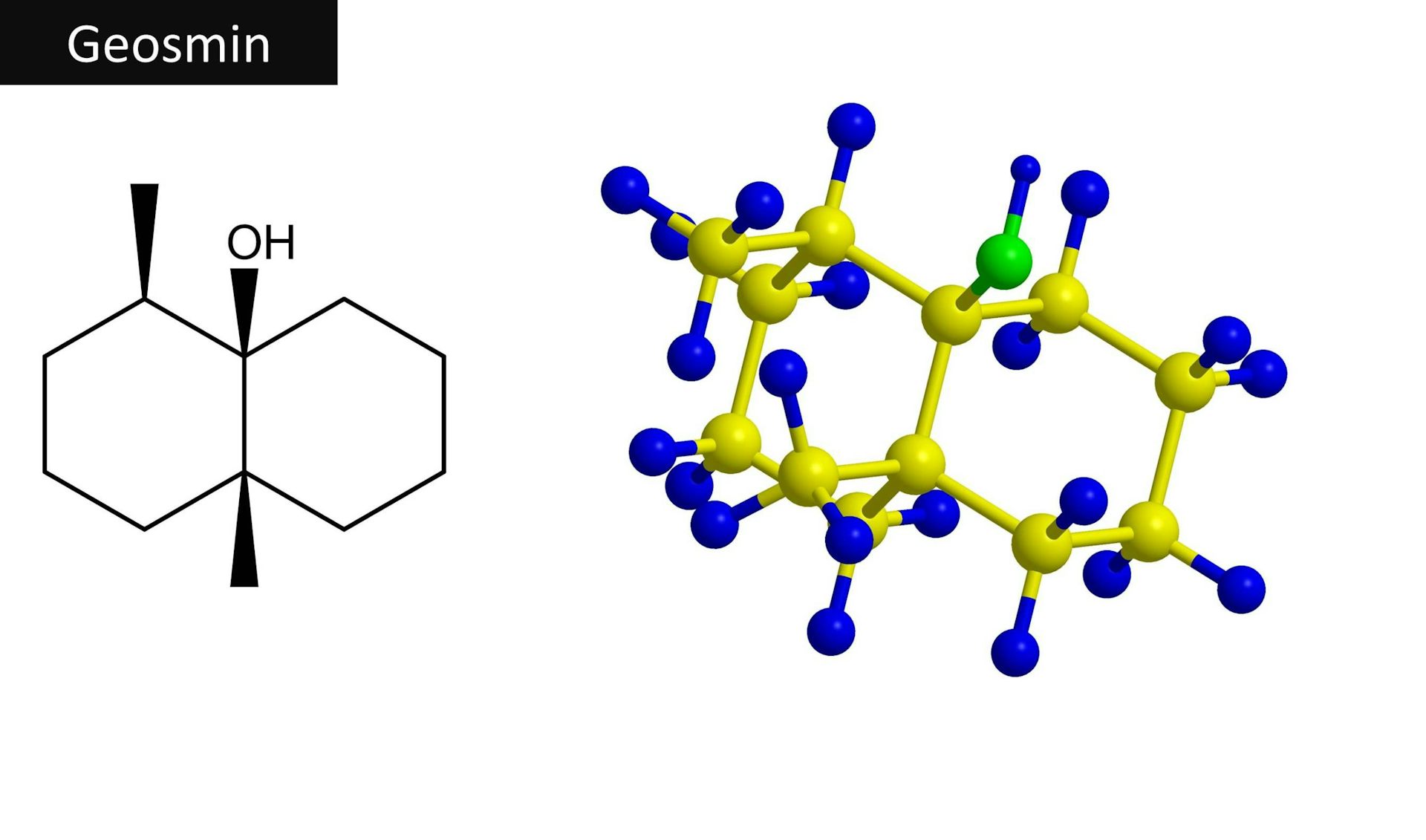 geosmin perfume