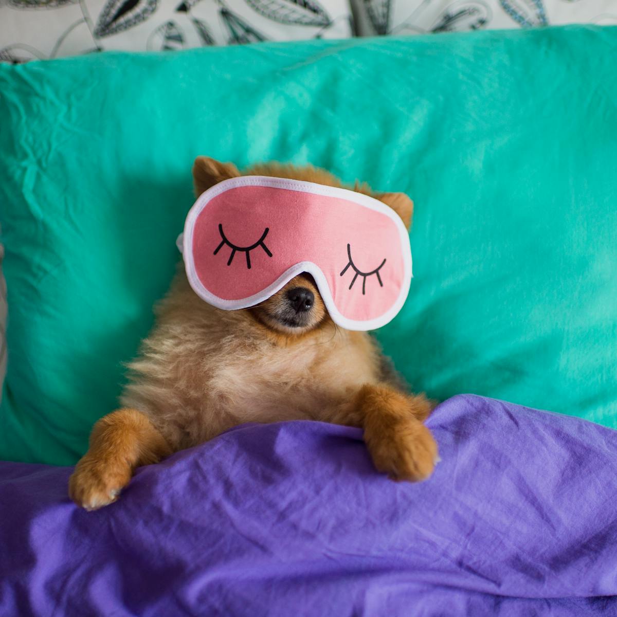 Seven Tips To Get Your Sleep Cycle Back On Track During Lockdown Seven Tips To Get Your Sleep Cycle Back On Track During Lockdown