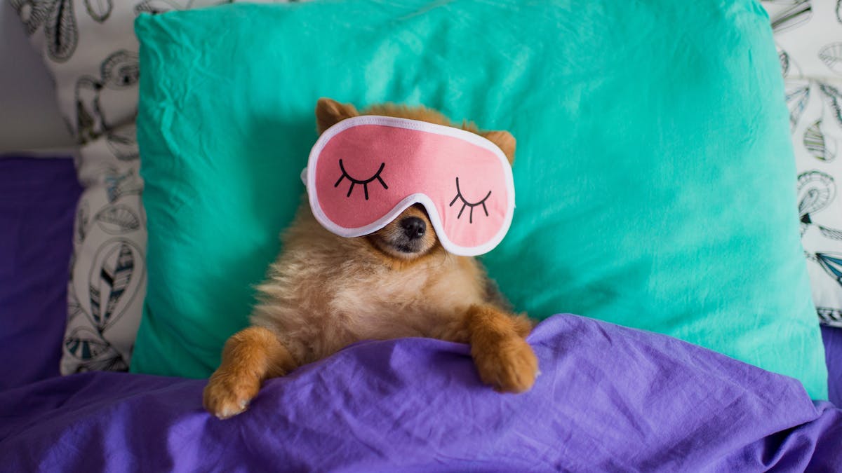 Seven Tips To Get Your Sleep Cycle Back On Track During Lockdown Seven Tips To Get Your Sleep Cycle Back On Track During Lockdown