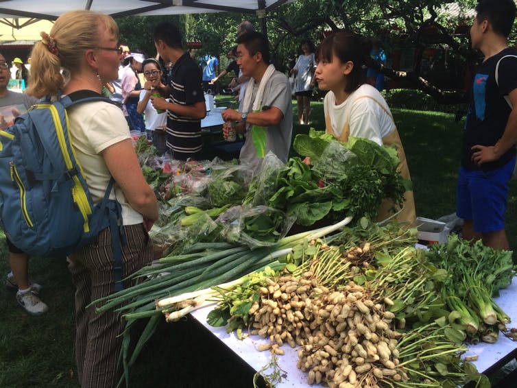 Steffanie Scott speaks with a vendor at the Beijing Organic Farmers’ Market. | Zhenzhong Si | Author provided