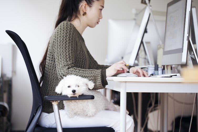 Very good dogs don't necessarily make very good co-workers