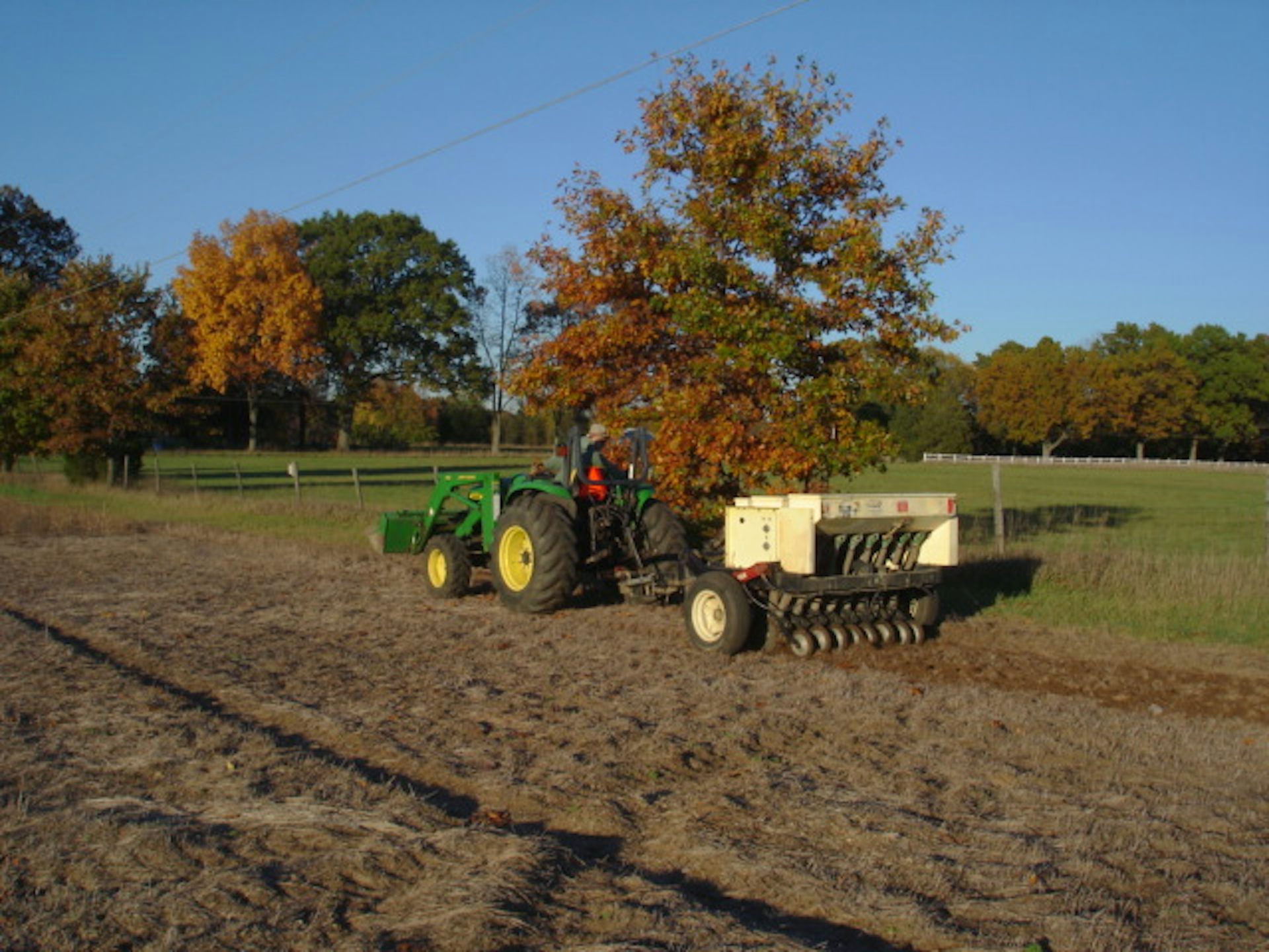Rain plays a surprising role in making some restored prairies healthier than others