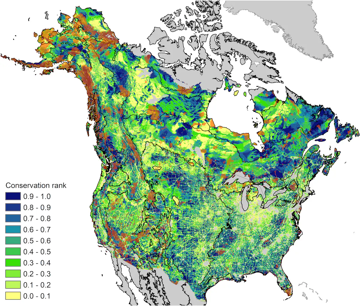Mapping key areas for conservation could help plants and animals ...