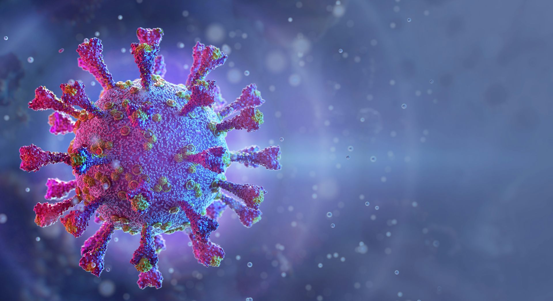 Coronavirus: Where Do New Viruses Come From?