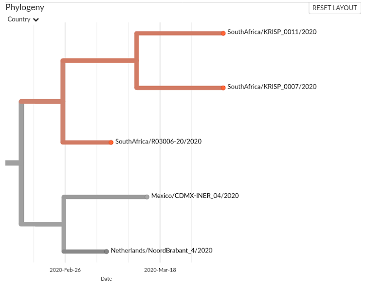 file 20200415 153313 1omc3mc.png?ixlib=rb 1.1