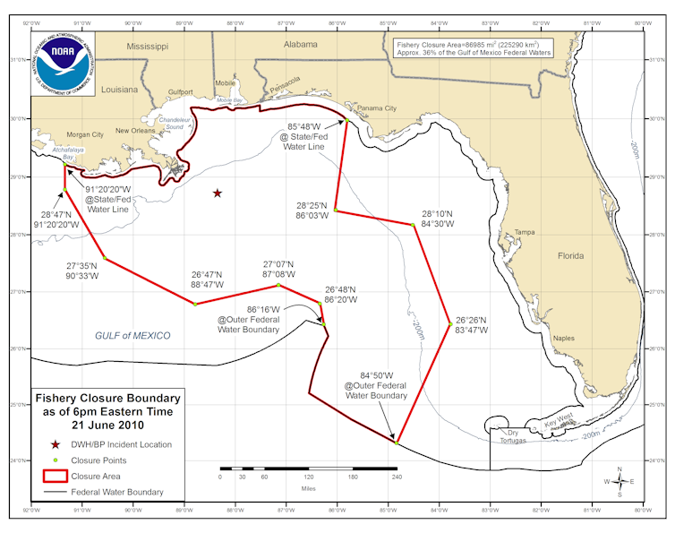 Coastal fish populations didn't crash after the Deepwater Horizon spill – why not?