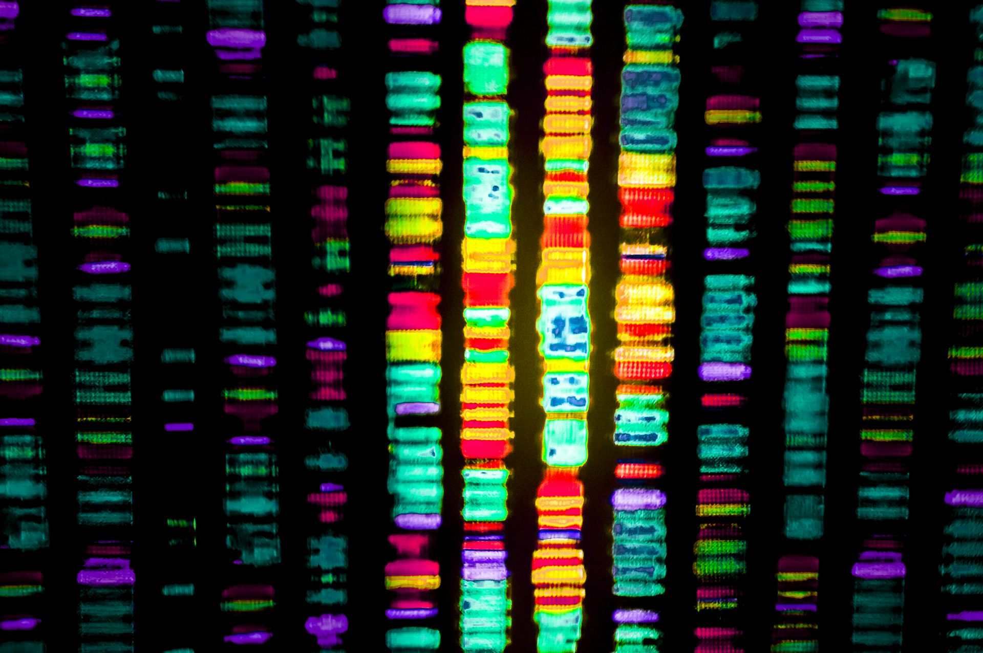 Africa Joins the Race to Trace COVID-19 with Genomics