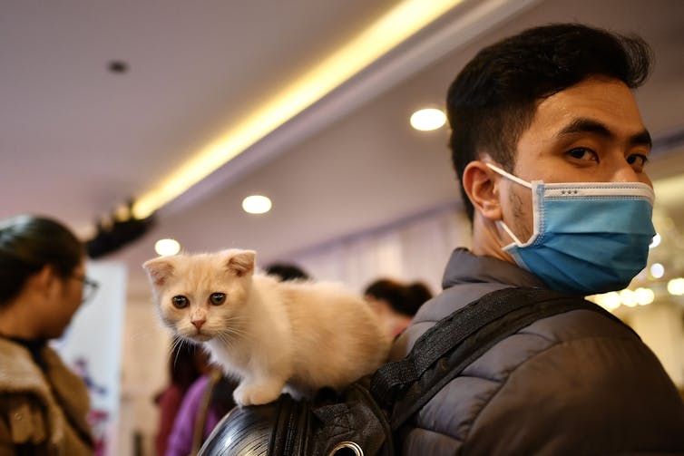 Can your pets get coronavirus, and can you catch it from them?