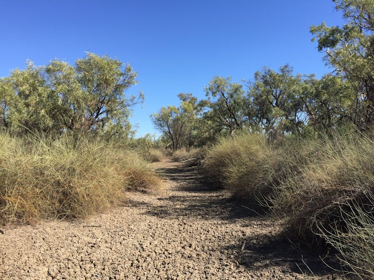 Australia’s inland rivers are the pulse of the outback. By 2070, they’ll be unrecognisable