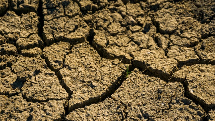 Australia’s inland rivers are the pulse of the outback. By 2070, they’ll be unrecognisable