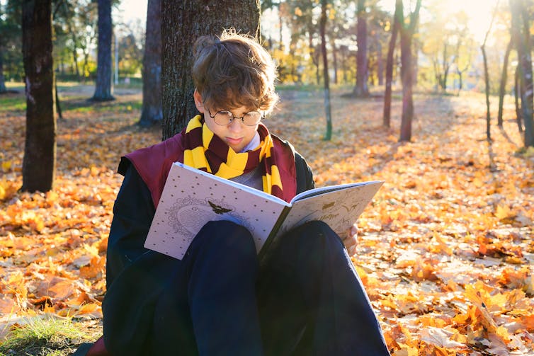 Missing your friends? Rereading Harry Potter might be the next best thing