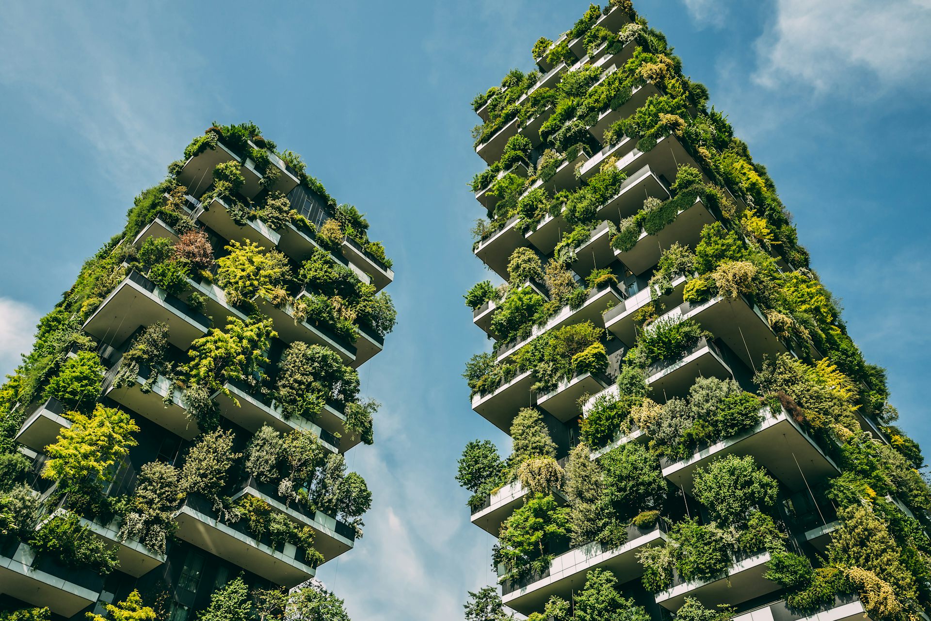 Turning Cities Into Urban Forests Can Sustain Our Future Health