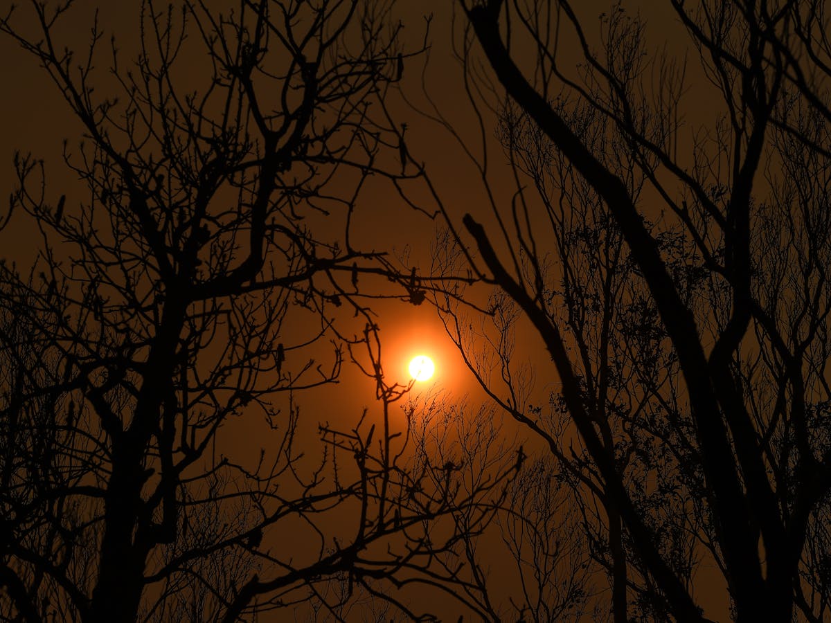 There Are 10 Catastrophic Threats Facing Humans Right Now And Coronavirus Is Only One Of Them