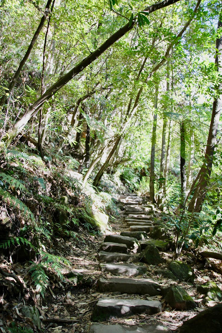 Can't go outside? Even seeing nature on a screen can improve your mood