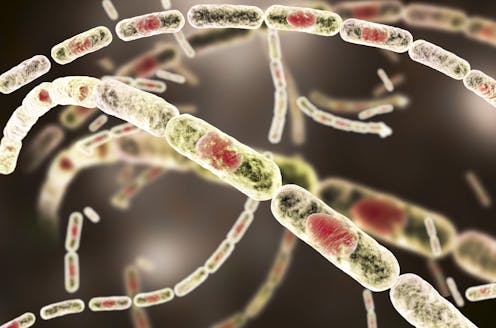 Entre las múltiples teorías de la conspiración que rodean al SARS-CoV-2, causante de la COVID-19, una de las favoritas del público es la de que estamos ante un arma biológica creada en un laboratorio y lanzada por Estados Unidos o China. Aunque la comunidad científica asegura que el origen del nuevo coronavirus solo puede ser natural, el bulo ha servido para sacar a escena un término que ha protagonizado sucesos de la historia para olvidar: las armas biológicas.