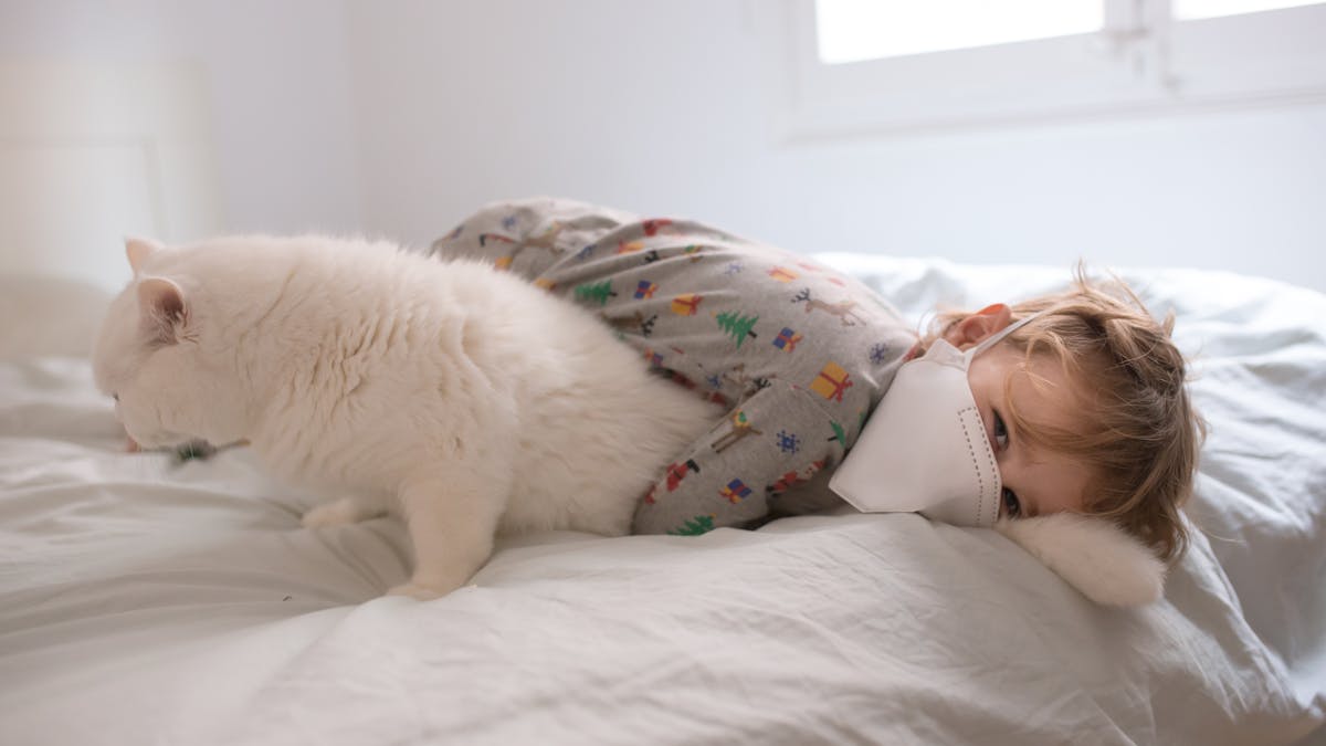 Apakah Kucing Dan Anjing Anda Bisa Terinfeksi Virus Corona Lalu Apa Bisa Kita Tertular Dari Mereka