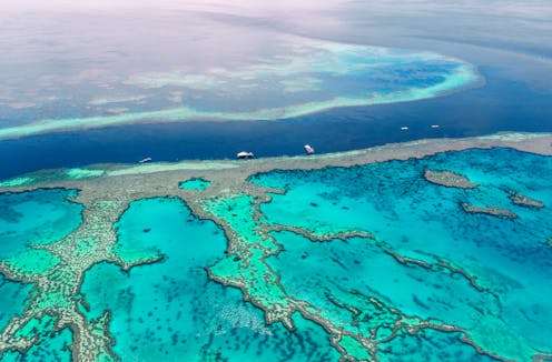 If we can put a man on the Moon, we can save the Great Barrier Reef
