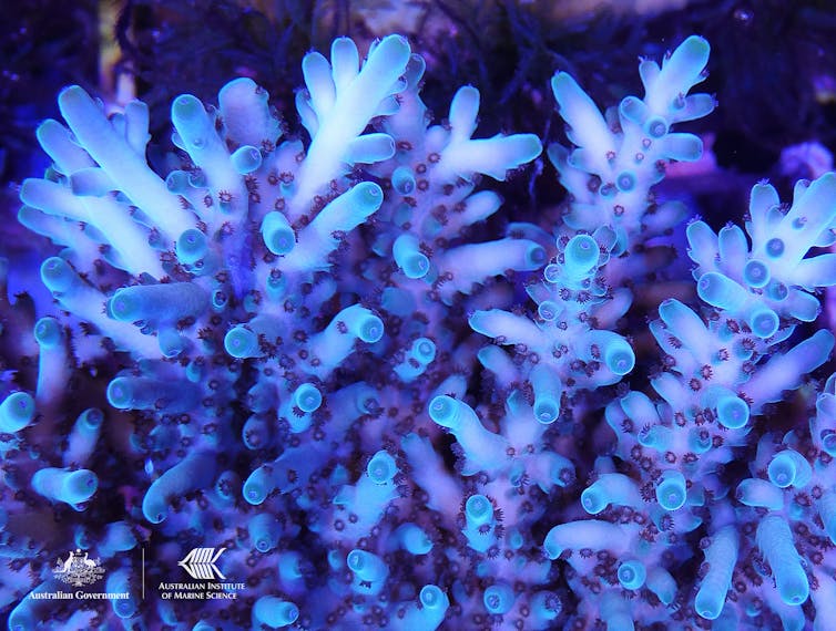 file-20200423-47804-61jcir.jpg?ixlib=rb-1.1.0&q=45&auto=format&w=754&fit=clip