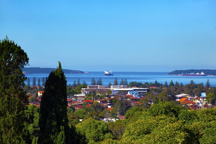 Buried under colonial concrete, Botany Bay has even been robbed of its botany