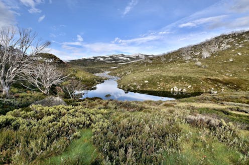 Snowy 2.0 threatens to pollute our rivers and wipe out native fish