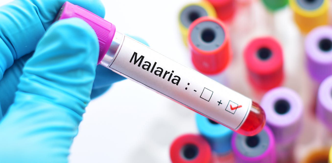 Riset malaria tanpa gejala: infeksi senyap yang berpotensi hambat penghapusan malaria di indonesia pada 2030