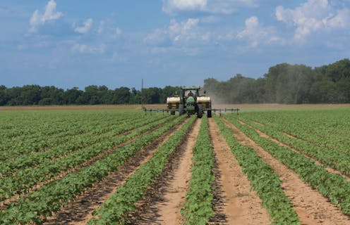 A global mask shortage may leave farmers and farm workers exposed to toxic pesticides