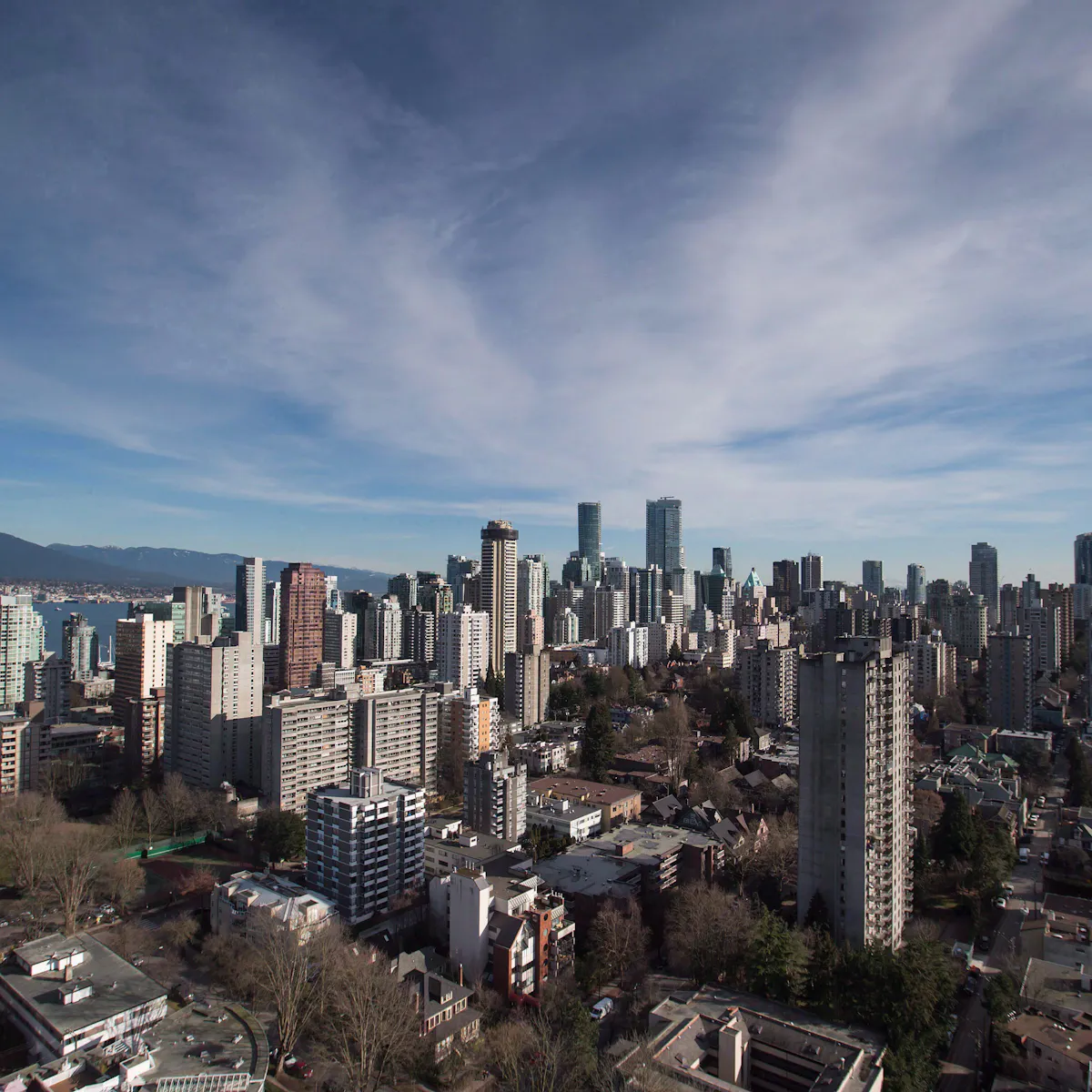 The Condominium S Grim Reapers Coronavirus And Recession