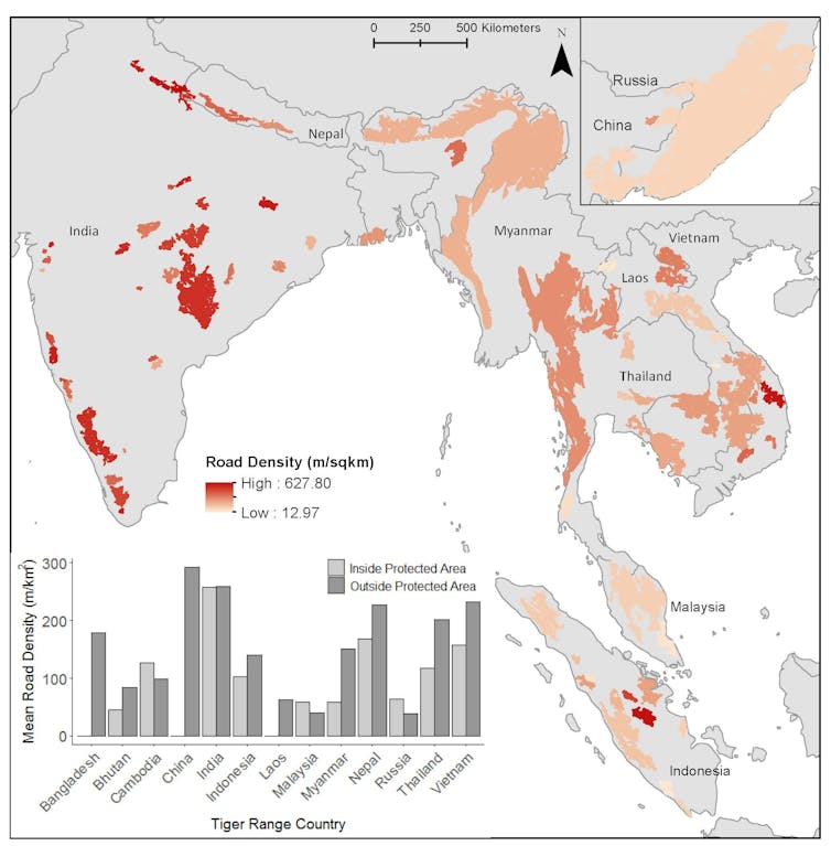 Endangered tigers face growing threats from an Asian road-building boom