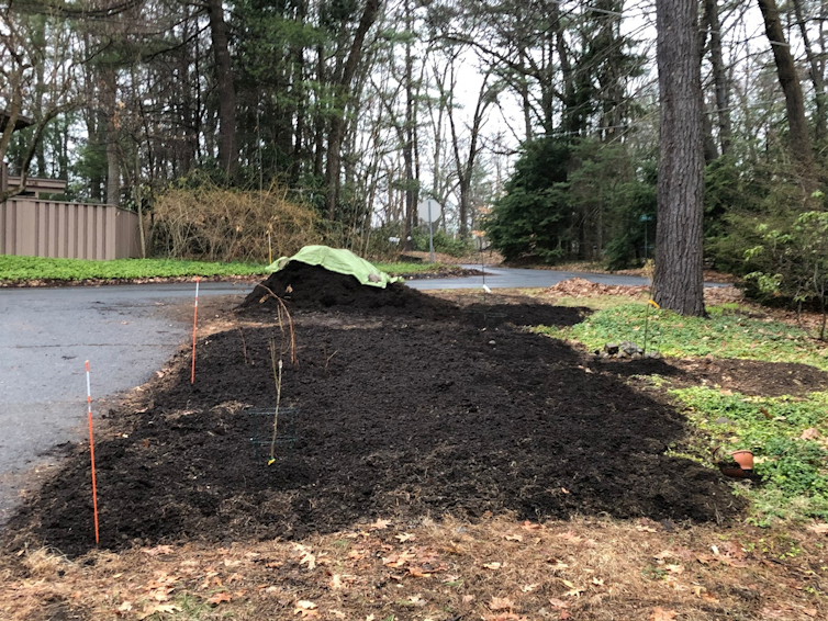 design and create a presentation about your city composting program