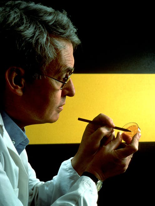 how WWI and WWII spurred scientific innovation in Australia